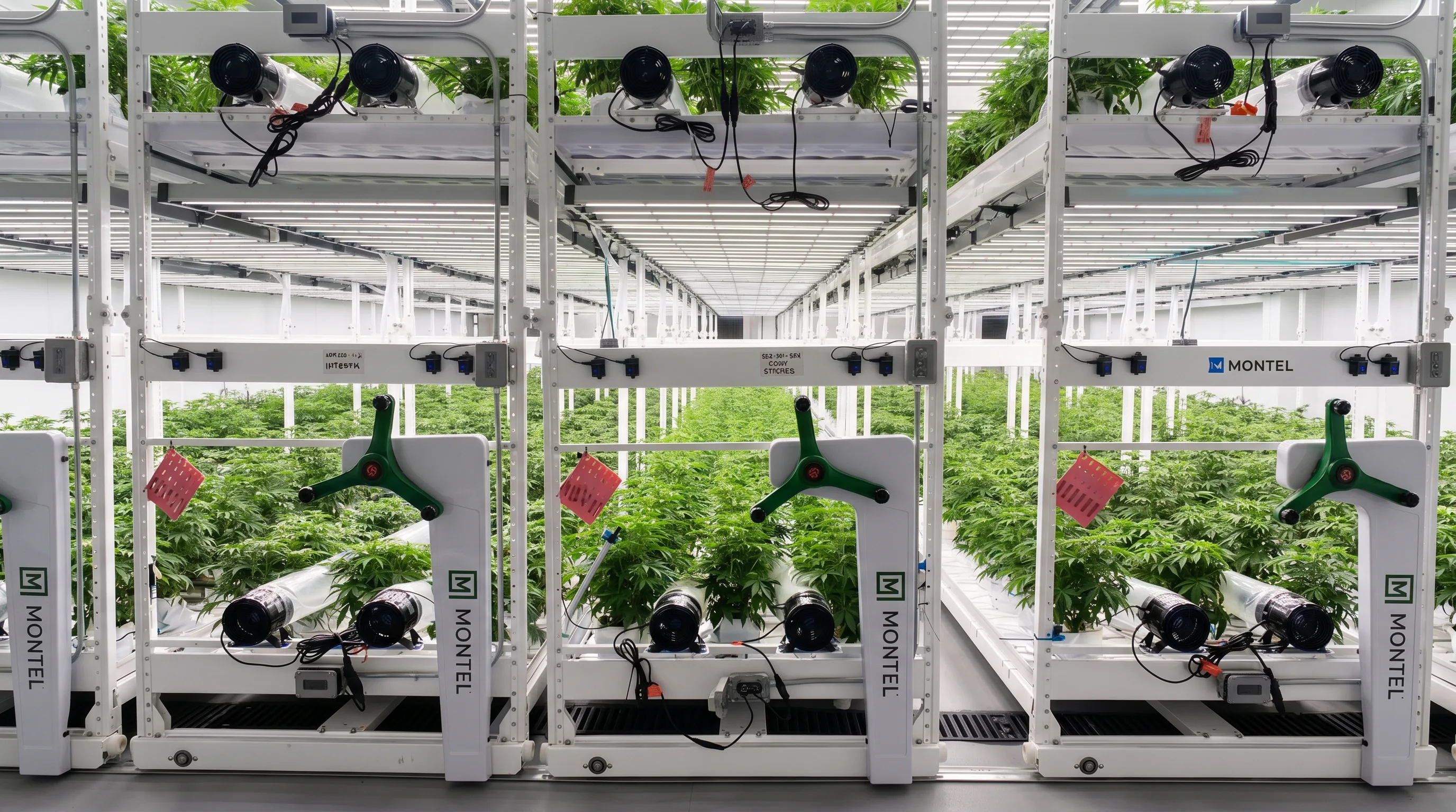 Closer view of Montel cultivation rack columns with Montel branding, plants on tiers, oscillating fans on the base rail, red QC tags visible — the engineered detail compliance programs document and audit.