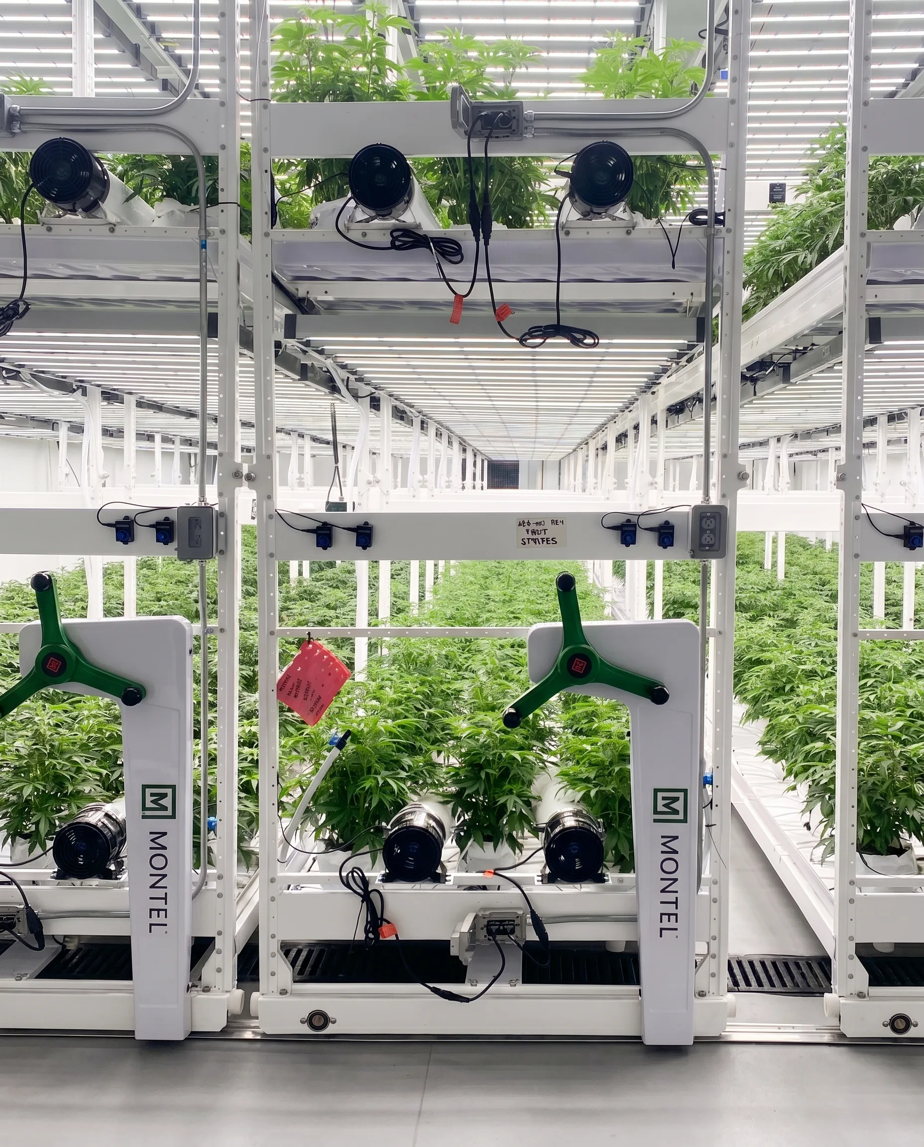 Front view of a Montel mobile-carriage vertical cultivation rack with healthy plants on multiple tiers, circulation fans mounted above and at base.