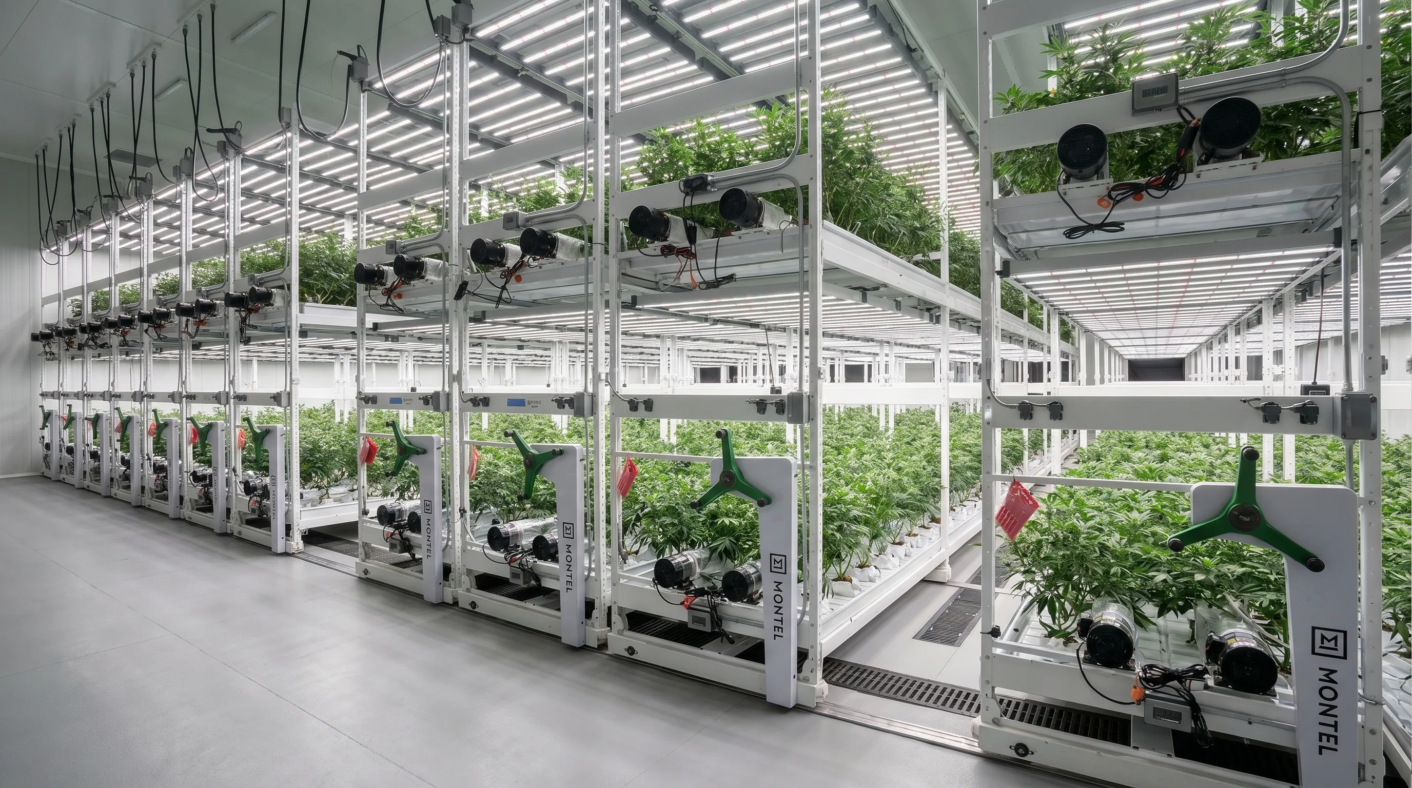 A long aisle of Montel mobile-carriage vertical cultivation racks with healthy plants on multiple tiers, LED light bars overhead, polished epoxy floor — the engineered cannabis facility scale Galleon is built to deliver.